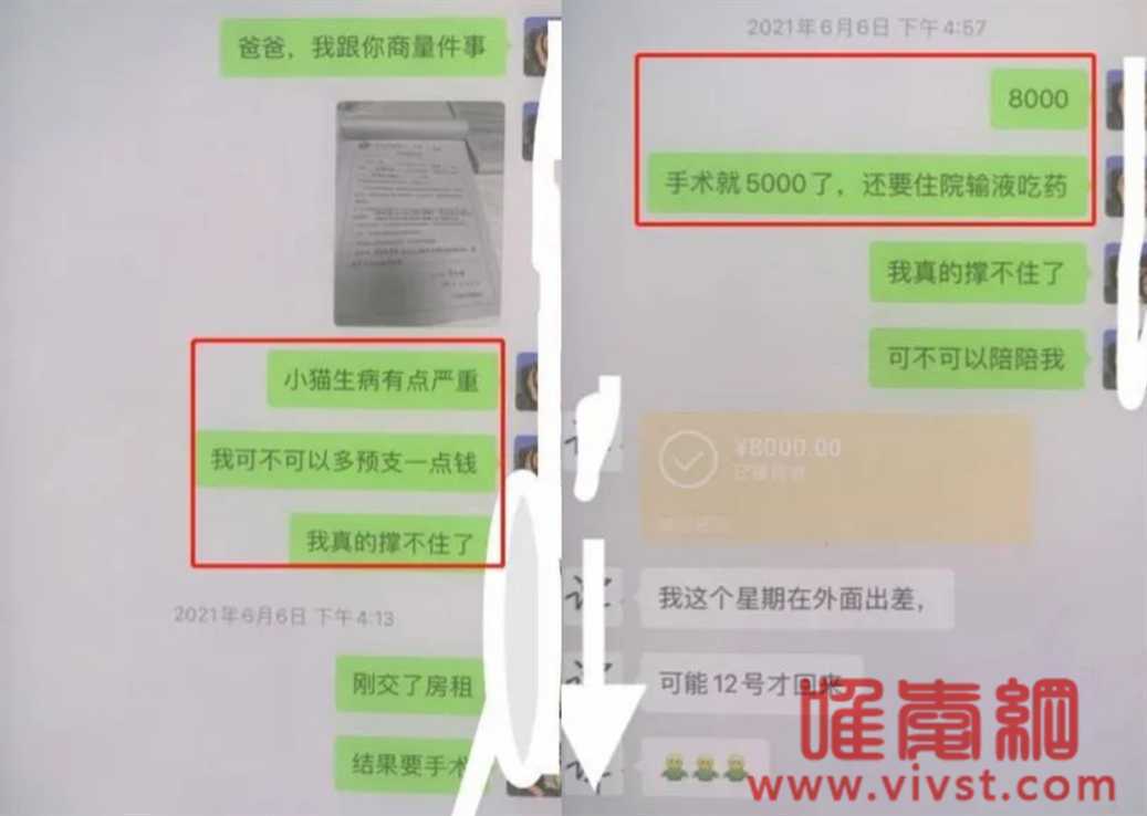 云南女大学生李某和多个男金主的瓜,男友怒爆92页pdf文件