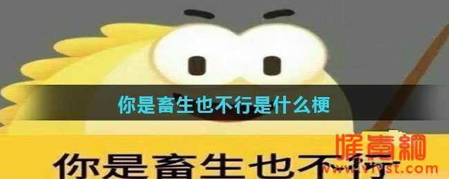 网络热词你是畜生也不行是什么梗？你是畜生也不行是什么含义？