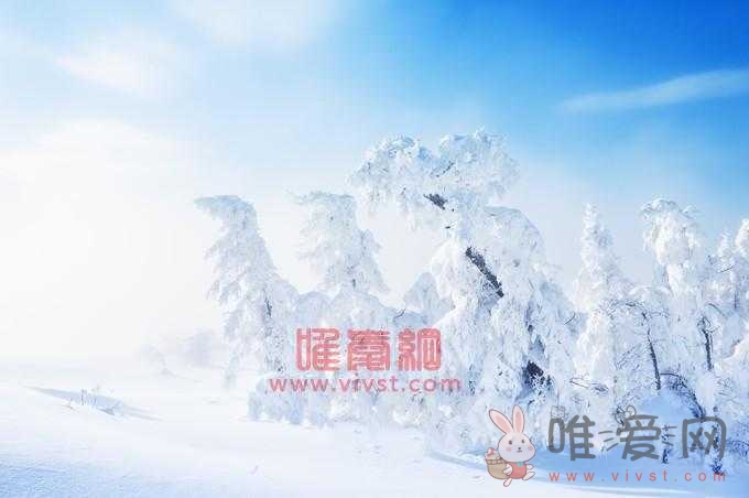 长白山在哪个城市？吉林省白山市长白山的雪是粉雪吗？有什么寓意？