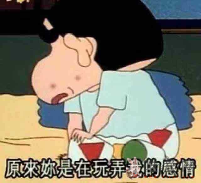 网络用语磕泡泡是什么意思？网络流行语磕泡泡是什么梗？