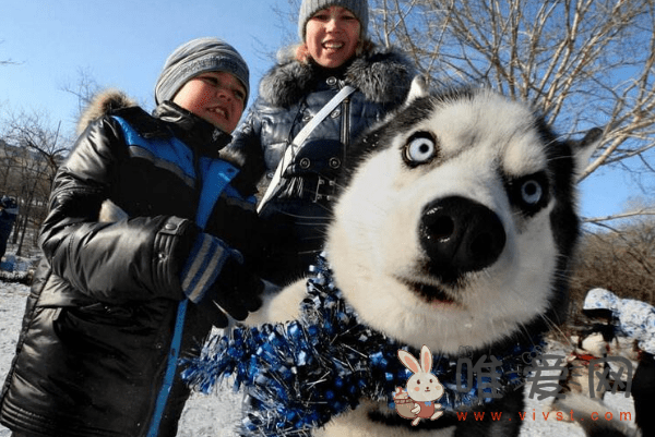 雪地三傻指的是哪三种？雪地三傻都有什么特点？