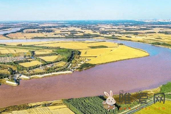 黄河齐河段的旅游景点有哪些？齐河景点旅游攻略分享！